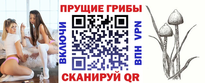 Купить  Щёлково  Галлюциногенные грибы Cubensis 